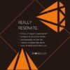 Corporate Bio | Signature Service by Brandelux