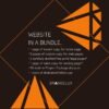 Web Works Delux | Project Package by Brandelux